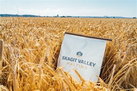 skagit valley malt